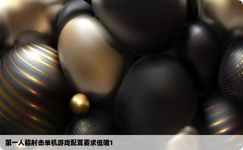 第一人称射击单机游戏配置要求低哦1